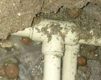 泰兴测漏水多少钱