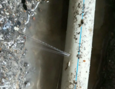 泰兴测漏水哪家好