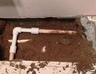 泰兴测漏水哪家好