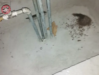 泰兴卫生间测漏水价格明细