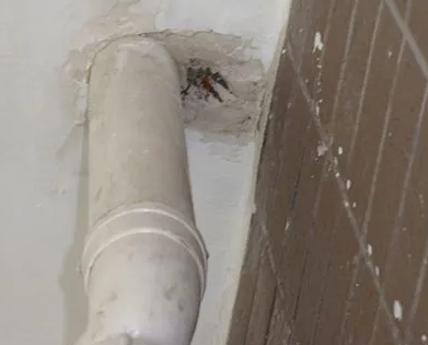 泰兴漏水检测哪家好