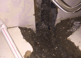 泰兴卫生间测漏水哪家好